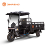 Electric Cargo Tricycle C-HA180QP