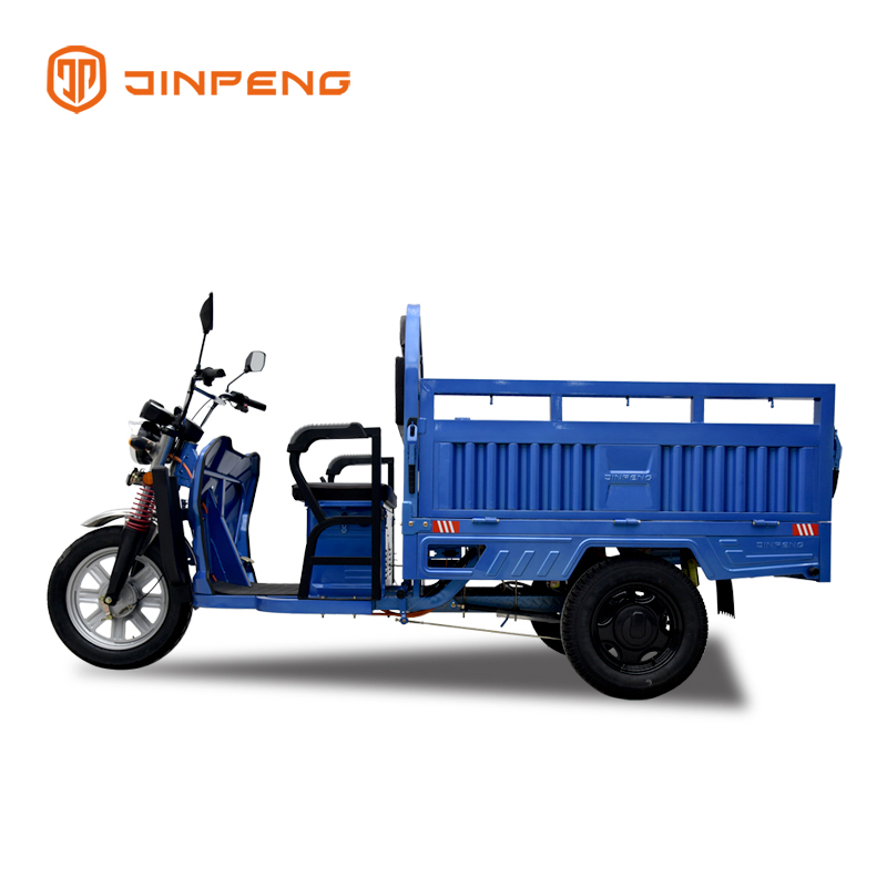 Electric Cargo Tricycle C-QL150