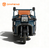 Electric Cargo Tricycle JW160