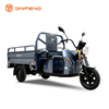 Electric Cargo Tricycle C-ZJ150