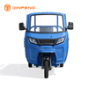 Electric Cargo Tricycle JG160P