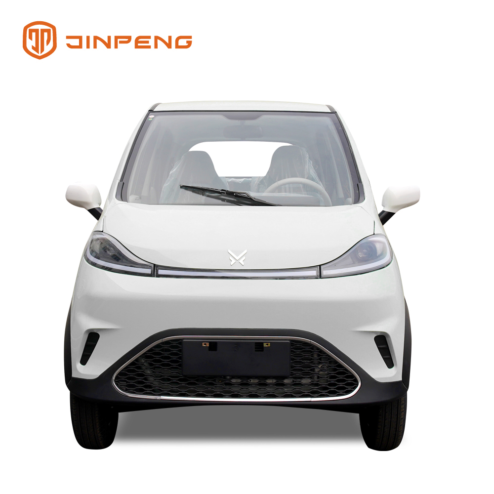 Low Speed Electric Car XY
