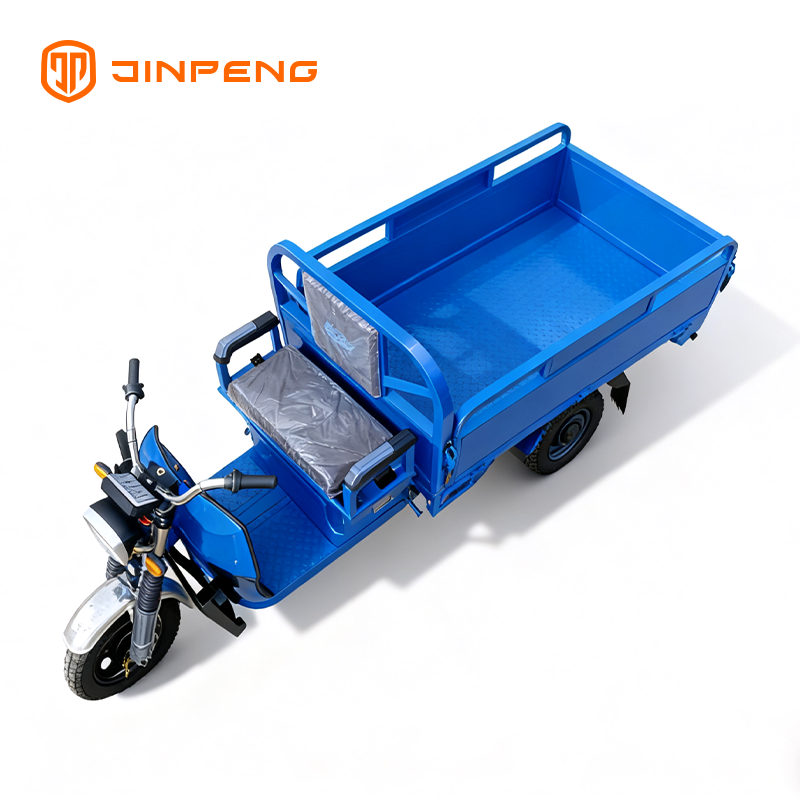 Electric Cargo Tricycle JG160