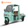 Electric Cargo Tricycle P9