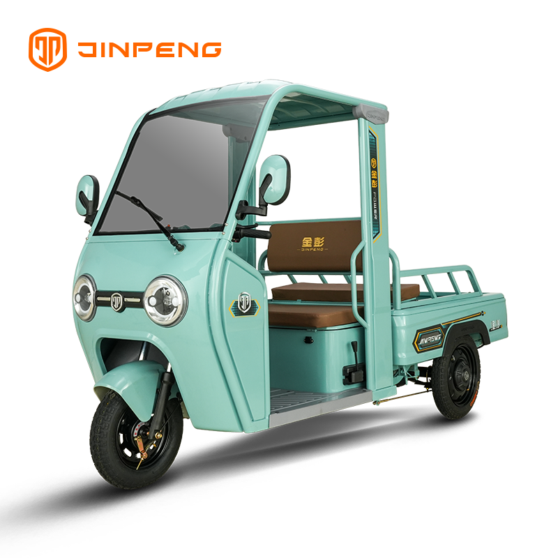 Electric Cargo Tricycle P9