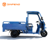 Electric Cargo Tricycle JG160P