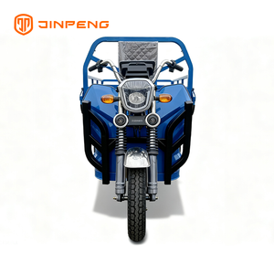 Electric Cargo Tricycle JG160