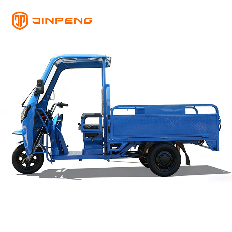 Electric Cargo Tricycle JG160P