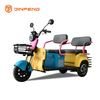 Electric Leisure Tricycle N10