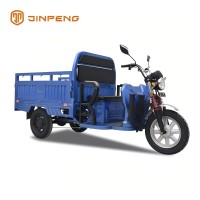What Is The Best Electric Tricycle for Adults?