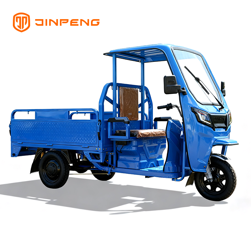Electric Cargo Tricycle JG160P