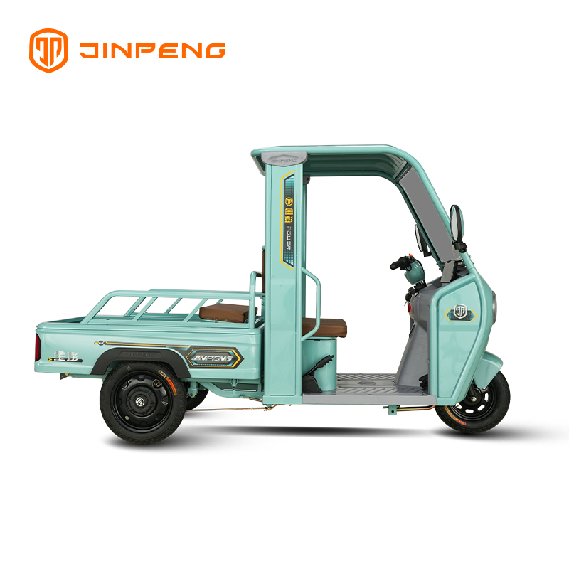 Electric Cargo Tricycle P9