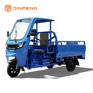 Electric Cargo Tricycle JG160P
