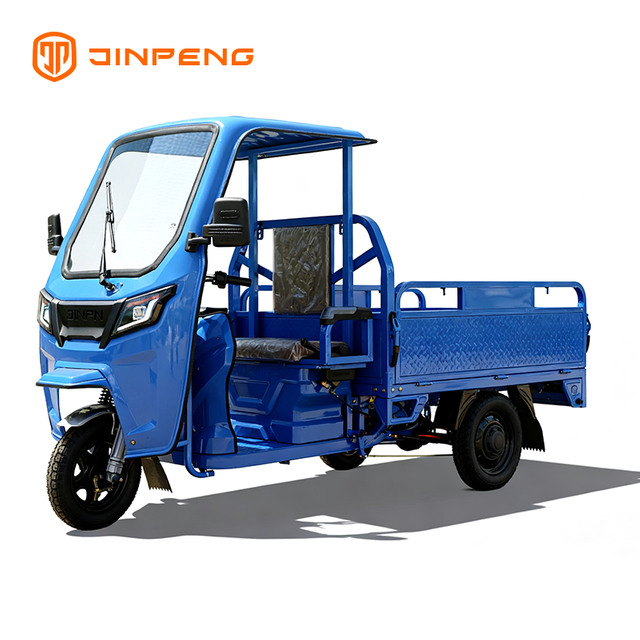 Electric Cargo Tricycle JG160P