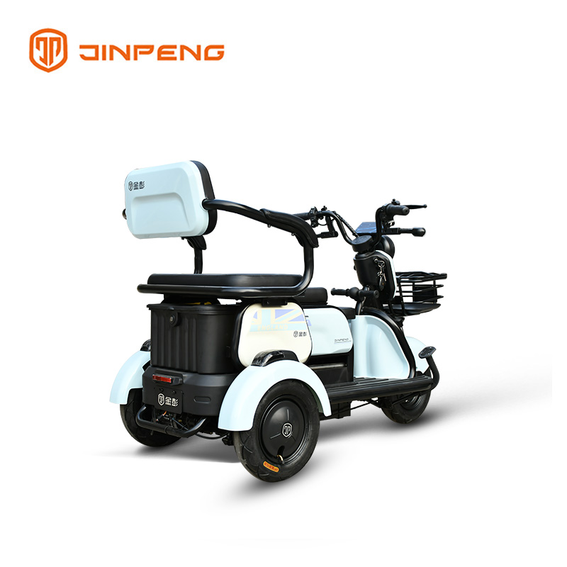 Electric Leisure Tricycle X3